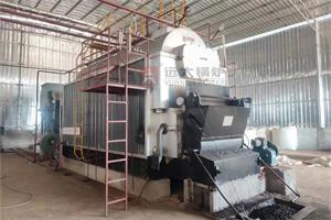 DZL4噸燃煤蒸汽鍋爐，湖北食品行業項目